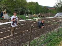 ELIA u Julius im Garten beim Säen